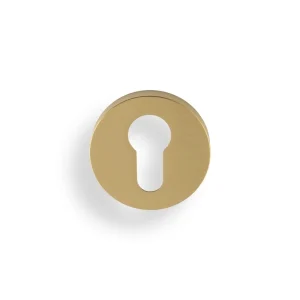 Cilinderrozet rond mat goud PVD